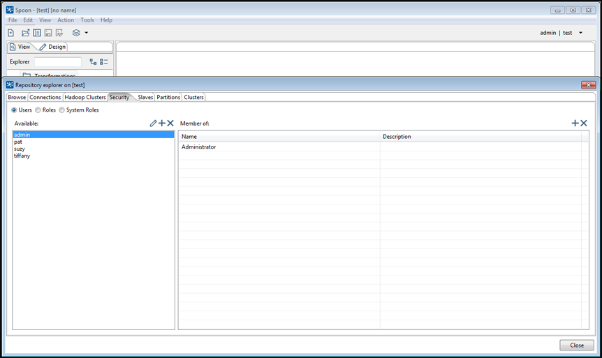 Security tab in the Repository Explorer