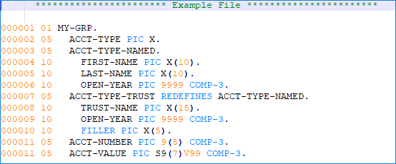 Sample copybook definition file