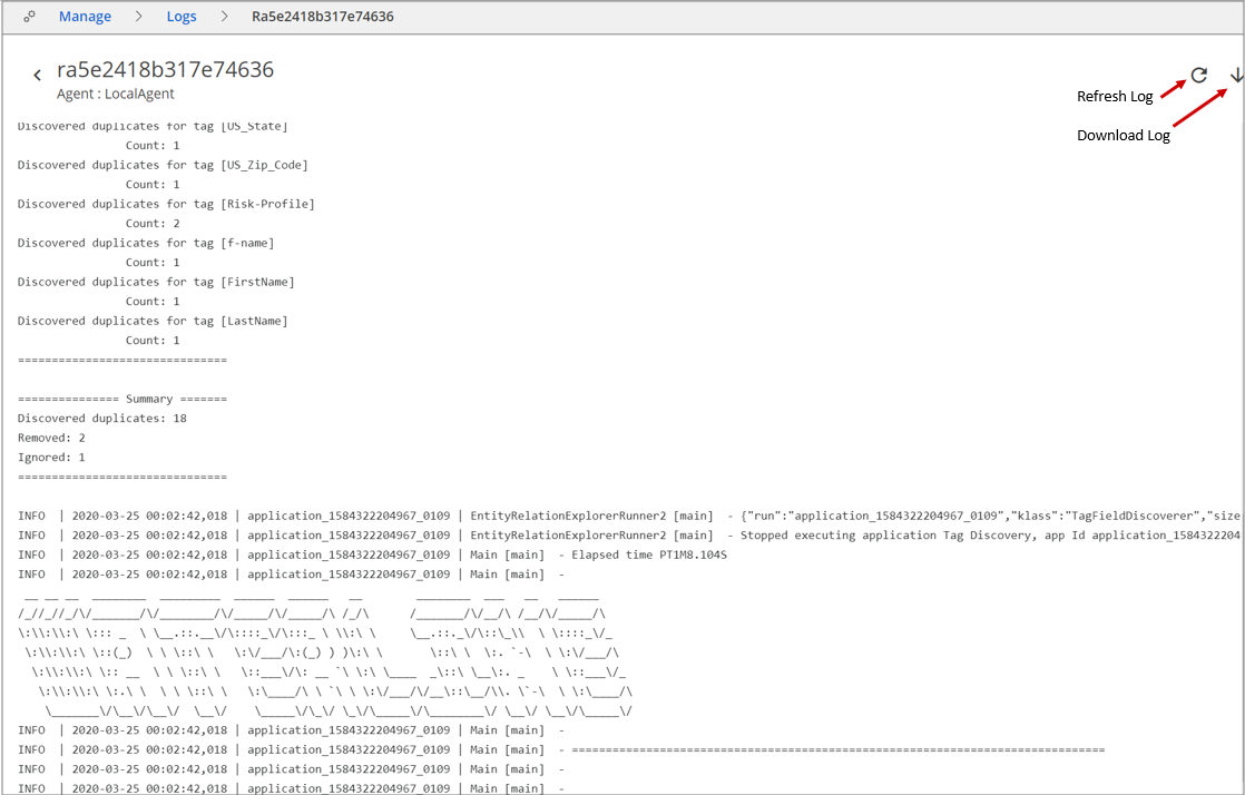Example snippet of log file contents for the selected job